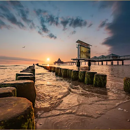 Hohe Buchen 1 * Heringsdorf (Usedom)